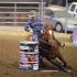 Battle in the Saddle